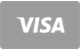 Visa karta płatnicza w Cazeus Casino